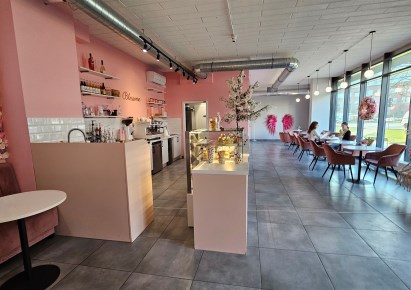 lokal na wynajem - Wrocław, Psie Pole, Kleczków, Rychtalska